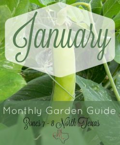 Monthly Garden Guide January Pinterest