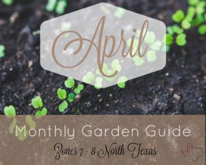 Monthly Garden Guide April Header