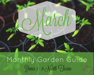 Monthly Garden Guide March Header