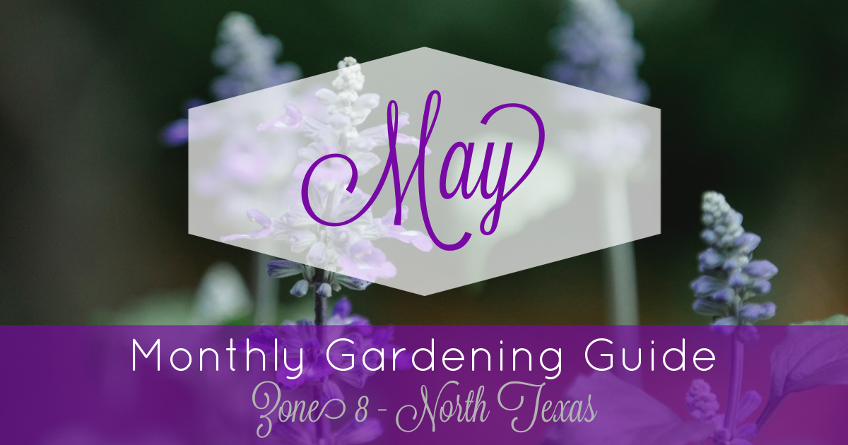 Monthly Gardening Guide – May
